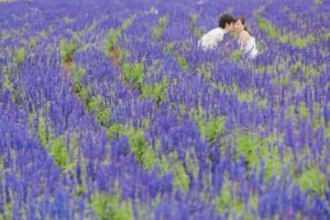 フラワーランドフォト例