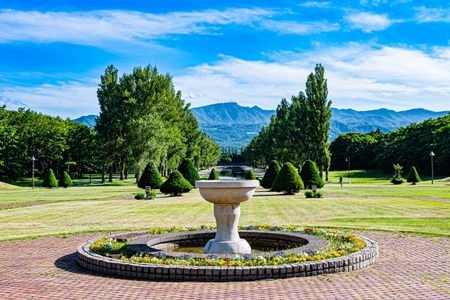 前田森林公園の画像