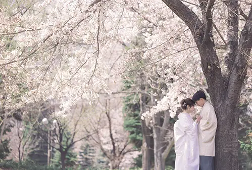 写真工房ぱれっとのウェディングフォト